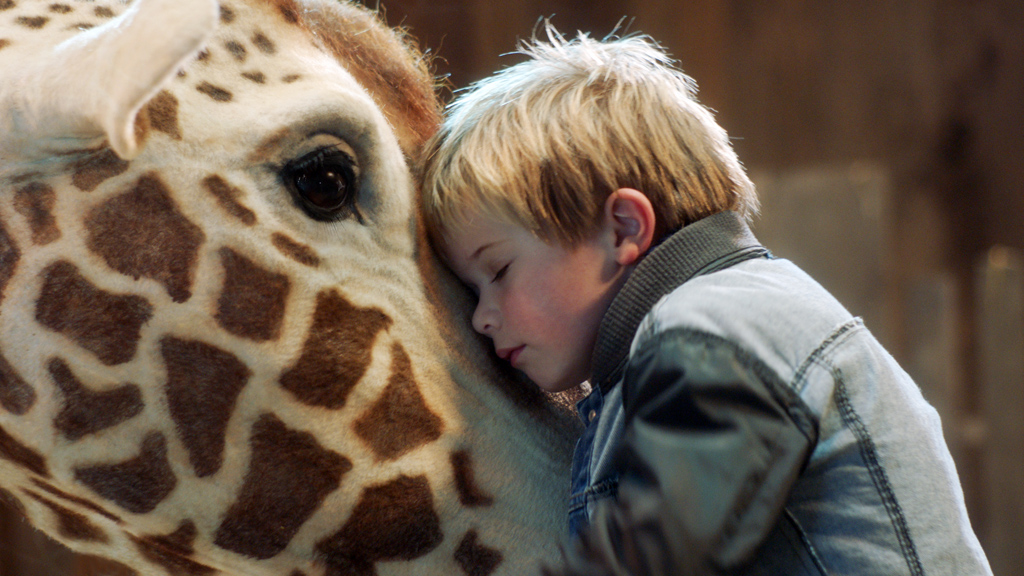 Filmbild von Mein Freund, die Giraffe