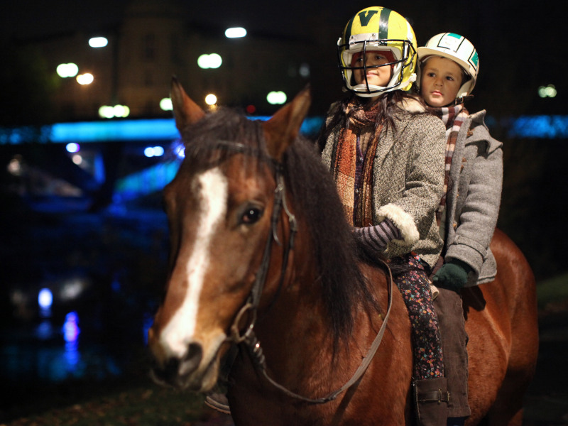 Filmbild von Das Pferd auf dem Balkon