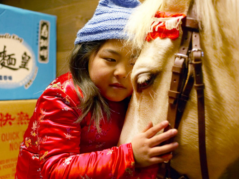 Filmbild von Winky will ein Pferd