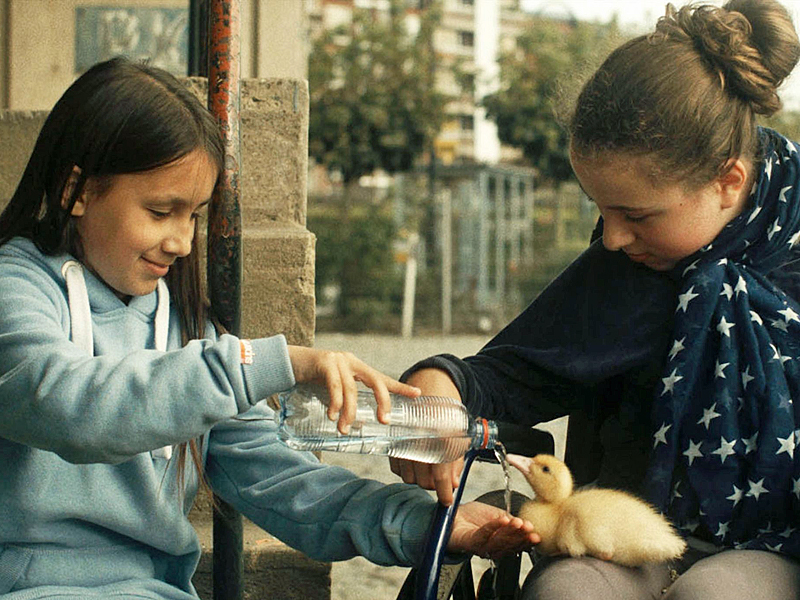 Filmbild von Zugvögel