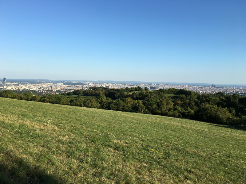 Wiese und Aussicht auf Wien