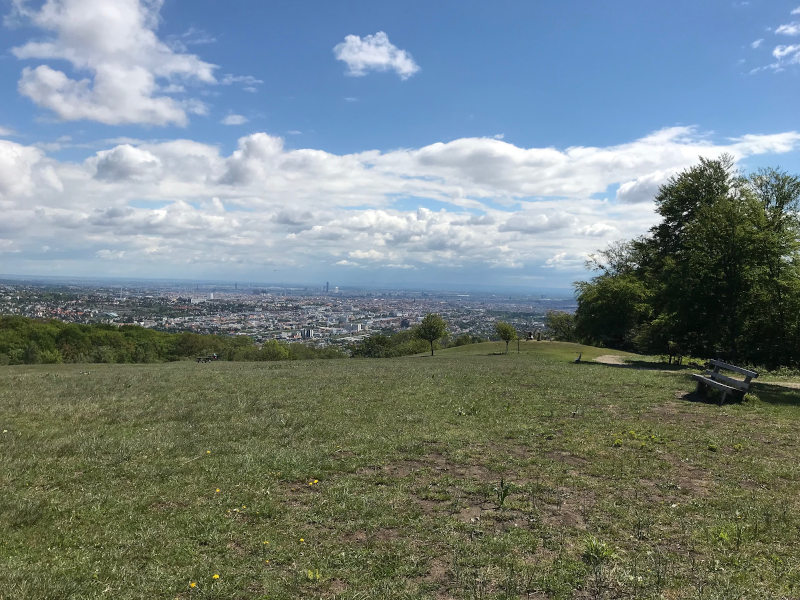 Wienblick Wienblick vom Lainzer Tiergarten