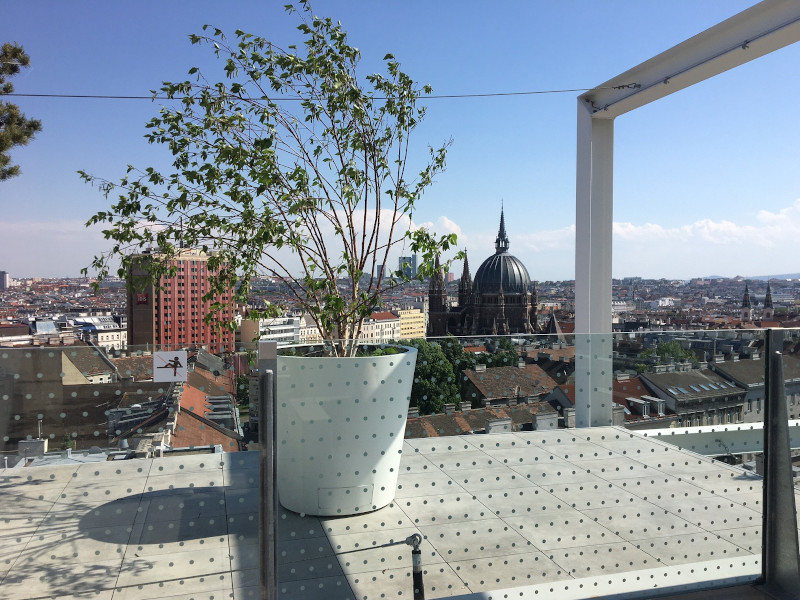 Ikea Dachterrasse Baum in einem Topf, dahinter Ausblick auf Stadt