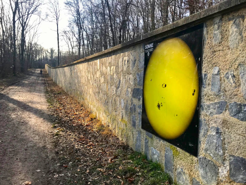 Bild von Sonne auf Mauer neben Waldweg
