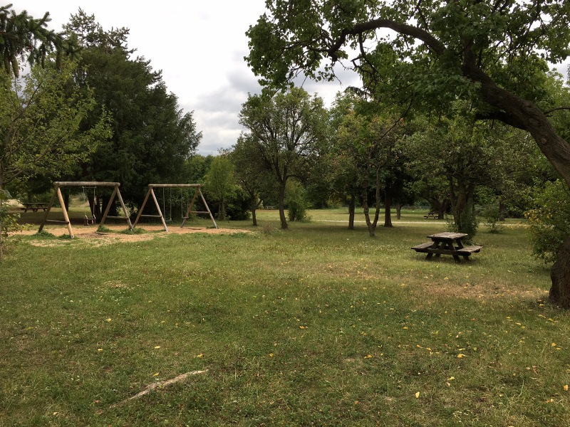 Eine große Wiesenfläche, umgeben von Bäumen, links hinten sind zwei Holzschaukeln.