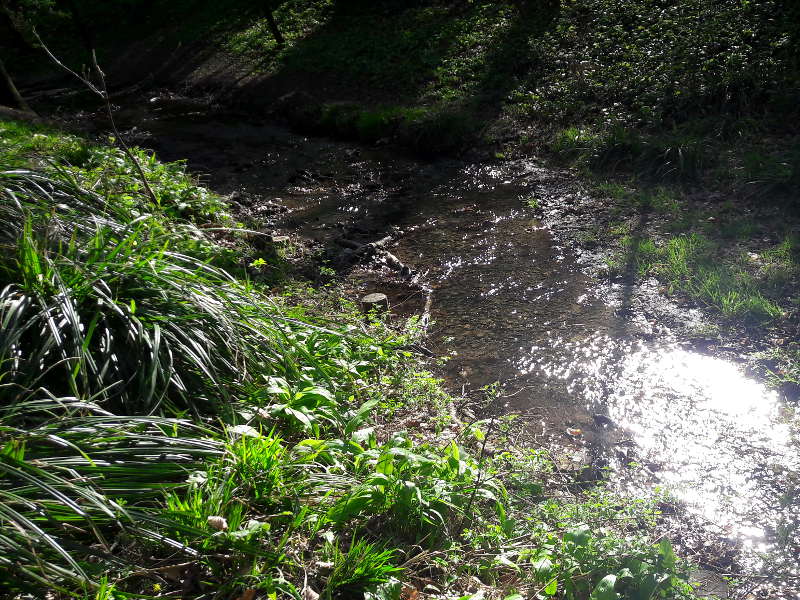 Bach Bach reflektiert Sonnenlicht