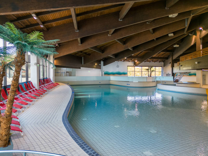 Schwimmbecken und auf der linken Seite des Bildes sind Liegen und eine Plastikpalme zu sehen. 