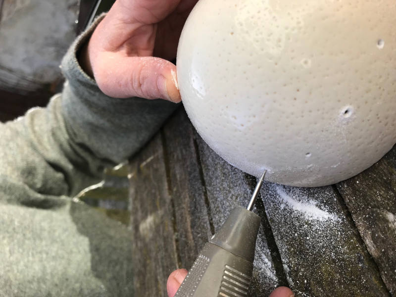 Man sieht ein Straußenei, das gerade gefräst wird