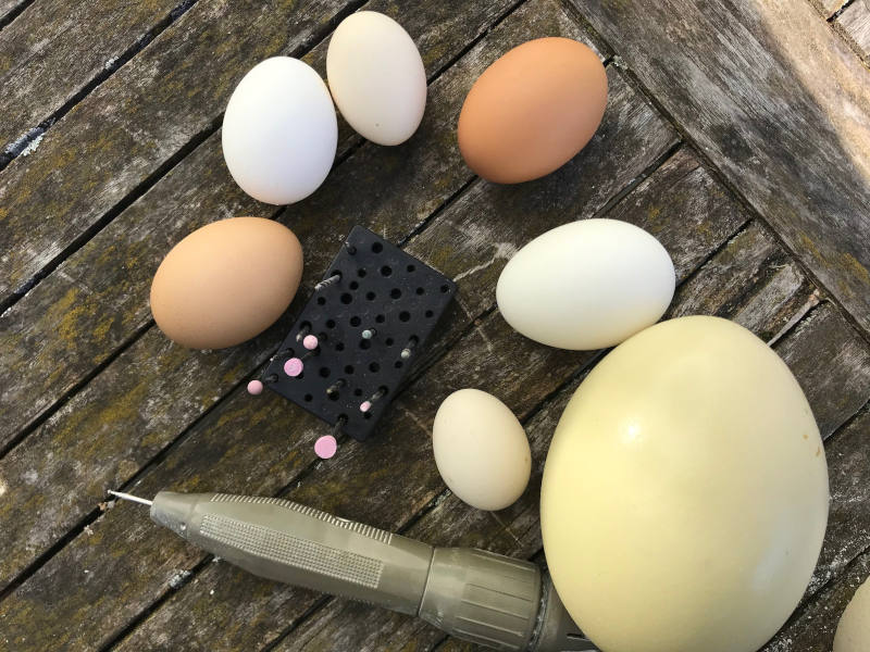 man sieht Eier in vielen verschiedenen Größen. Daneben liegt ein Fräs-Gerät