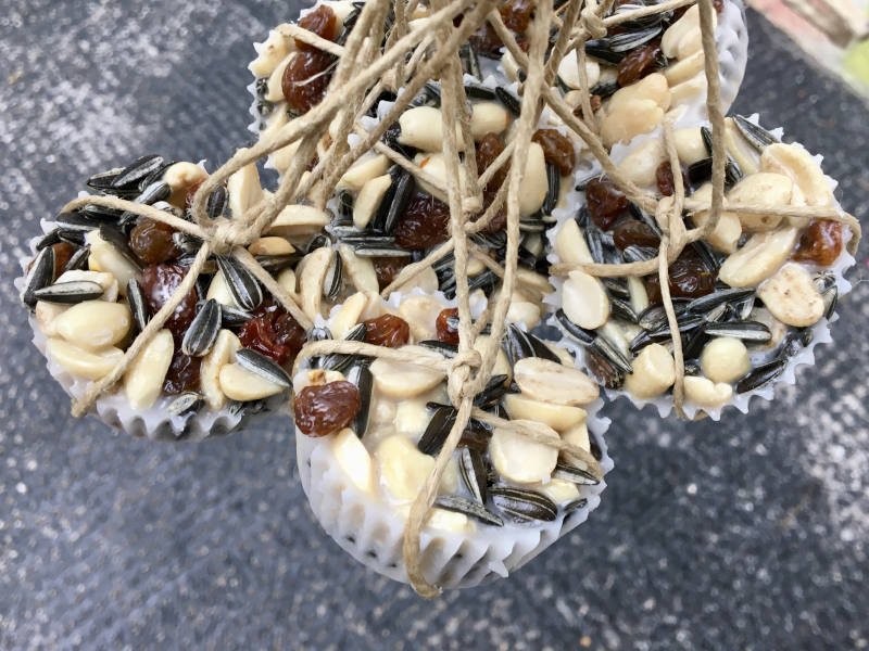 Vogelfutter DIY Selbstgemachtes Vogelfutter in Muffinförmchen