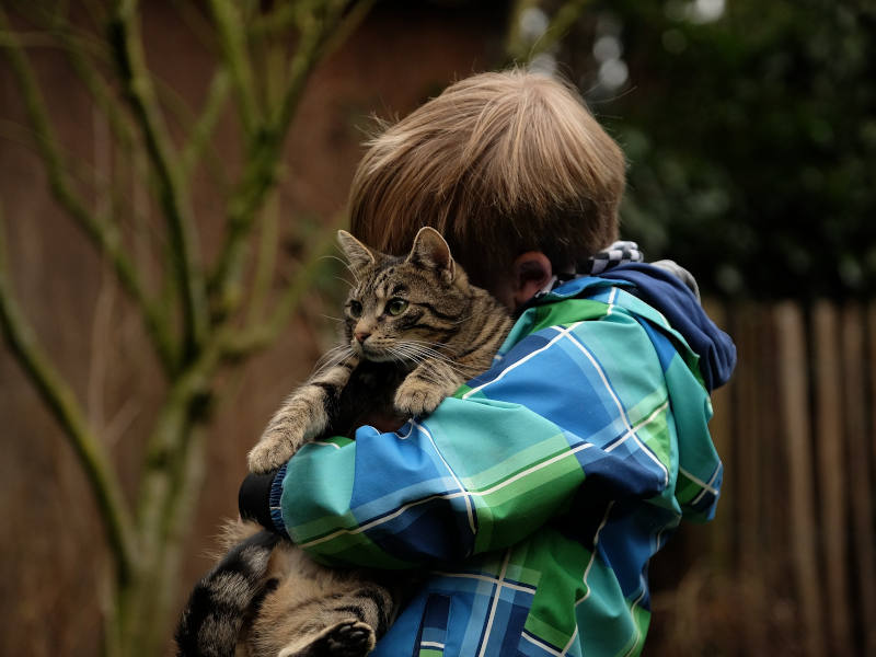 Kind von der Seite, vor einem Baum, das eine Katze im Arm hält 