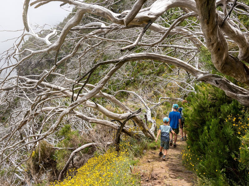 Wandernde Kinder Kinder von hinten auf einem schmalen Wanderweg mit viel Vegetation