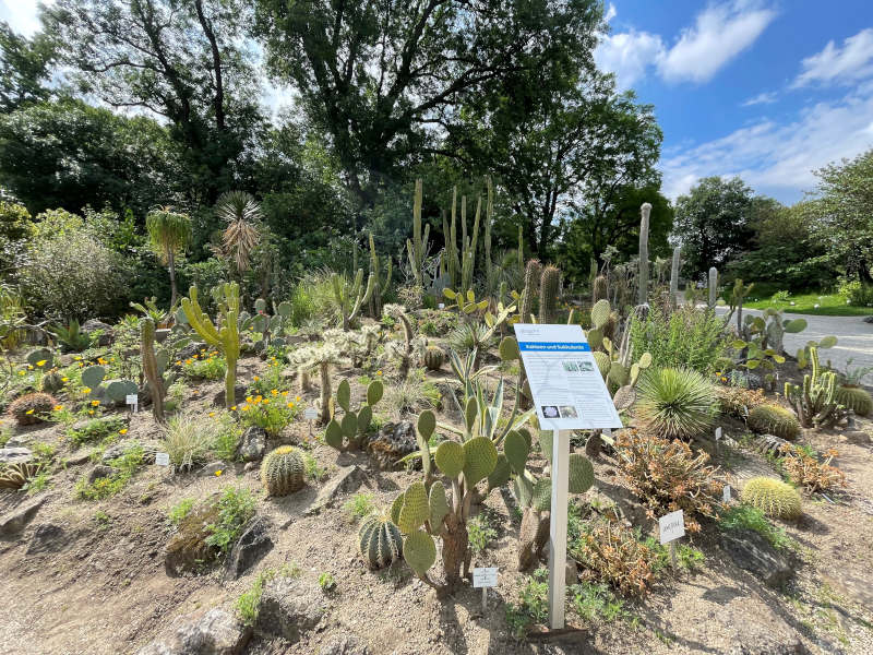 Pflanzen mit Infoschild