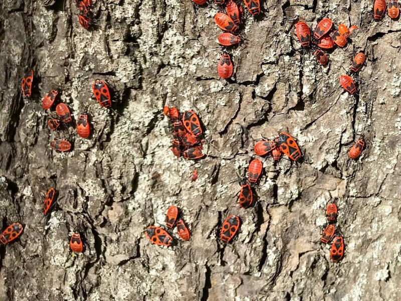 New Games – der neue Spiel-Weg der 60-er Jahre