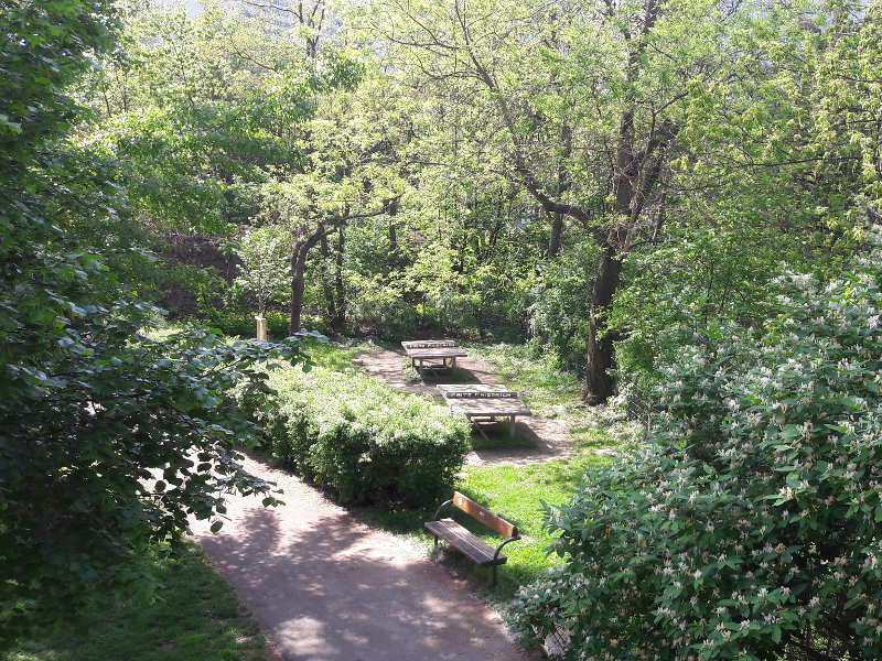 Tischtennis Donaupark