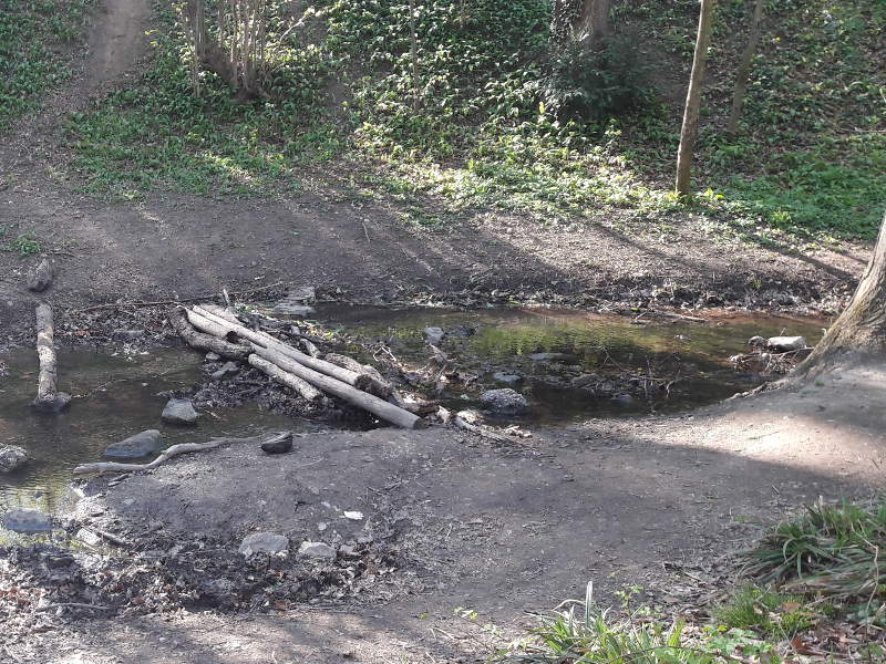 Bach mit Übergang Bach mit Baumstamm-Übergang