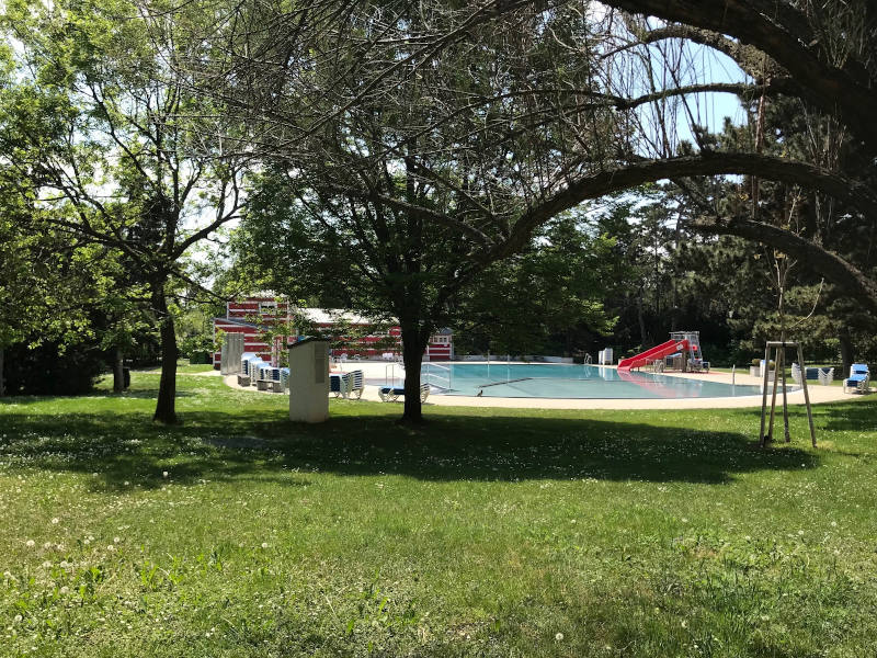 Familienbad Herderpark Wiese, Bäume und ein Schwimmbecken