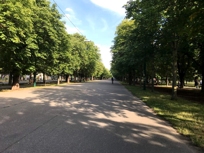 Eine Allee mit einem breiten asphaltierten Weg.