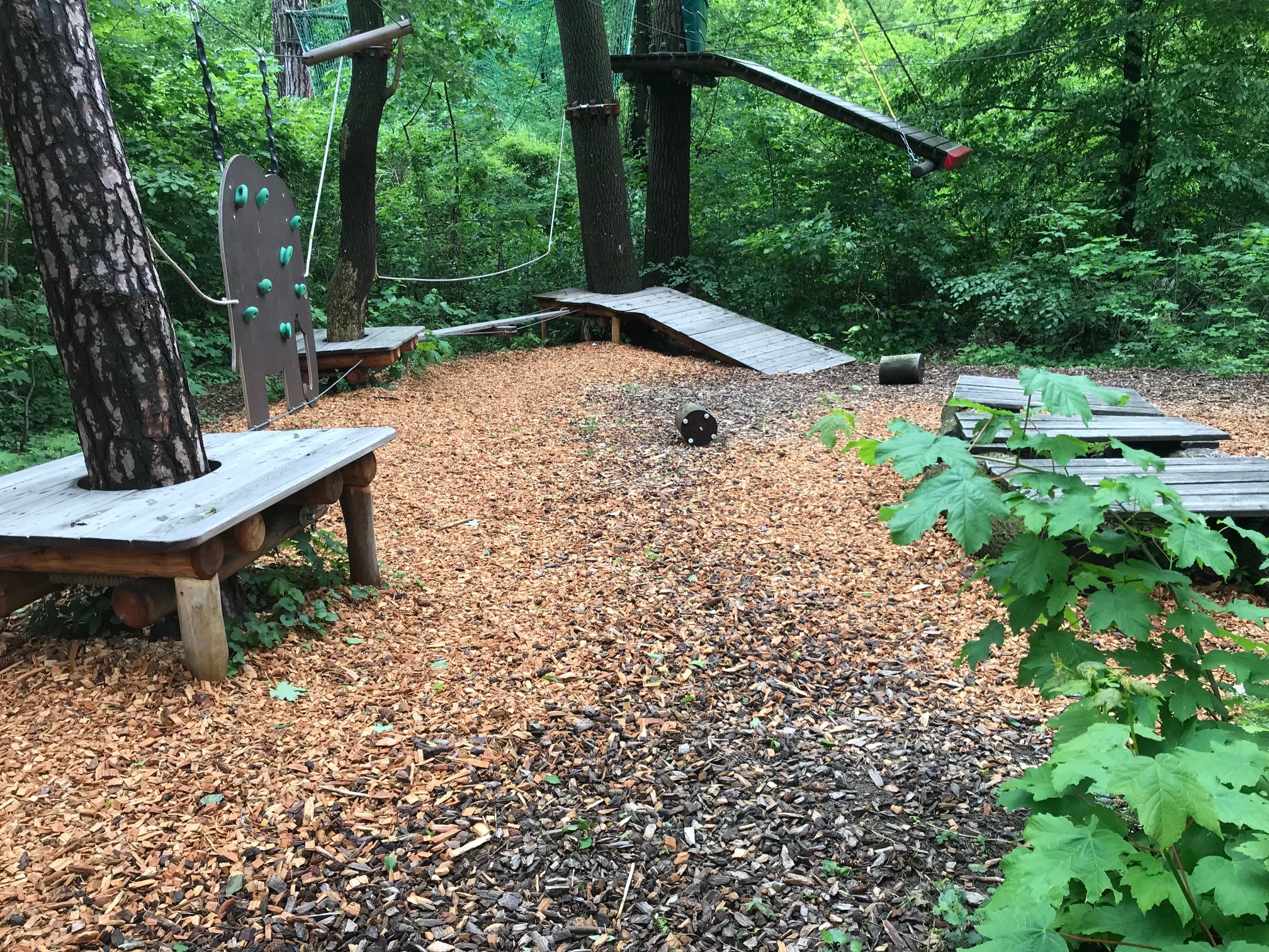 Kleine Boulderwand zwischen zwei Bäumen.