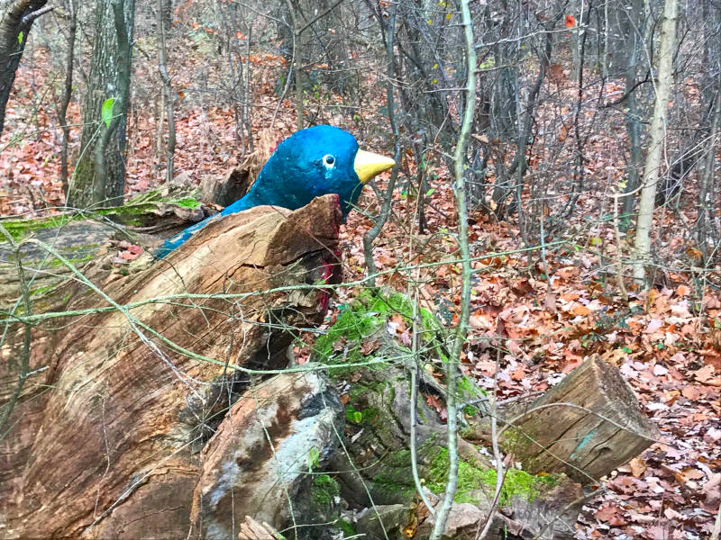 blauer Holzvogel im Wald