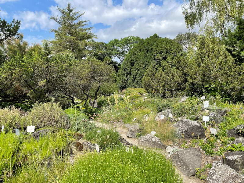 Wiese, Bäume und Sträucher