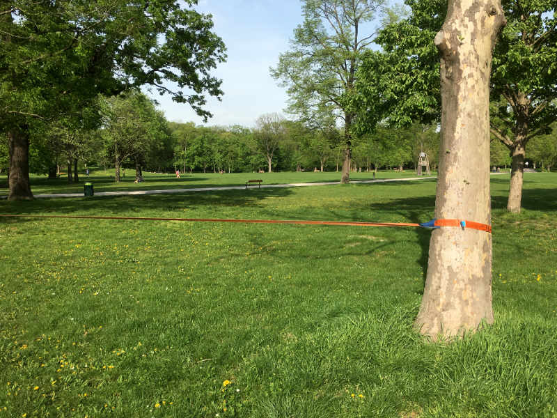 Slackline von einem zum anderen Baum gespannt