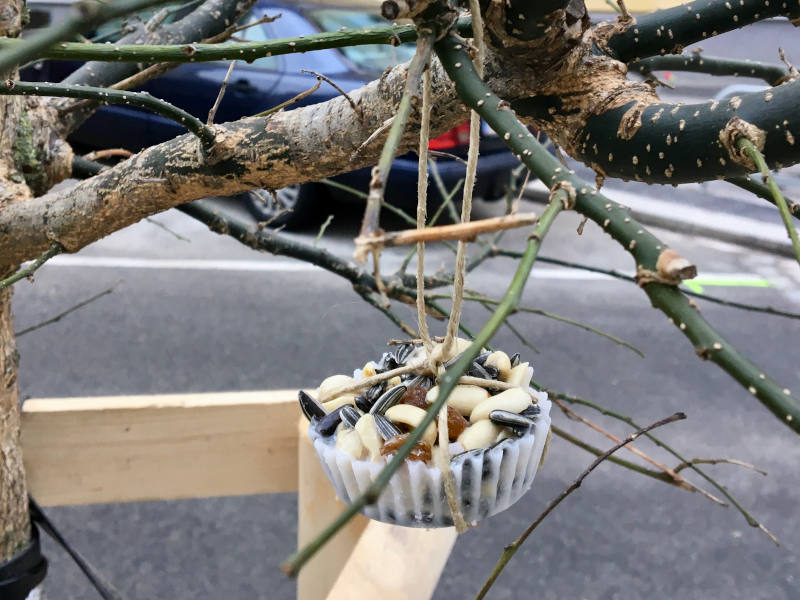 selbstgemachtes Vogelfutter am Baum