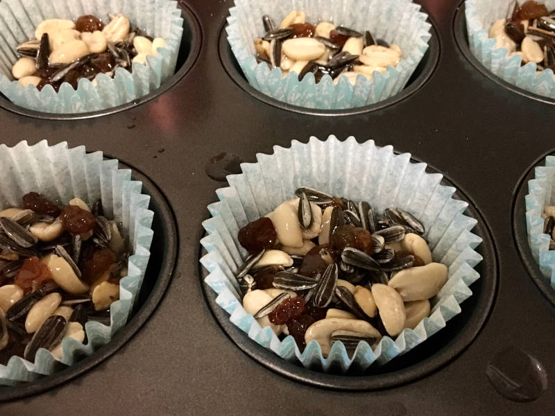 Selbstgemachtes Vogelfutter im Muffin Backblech