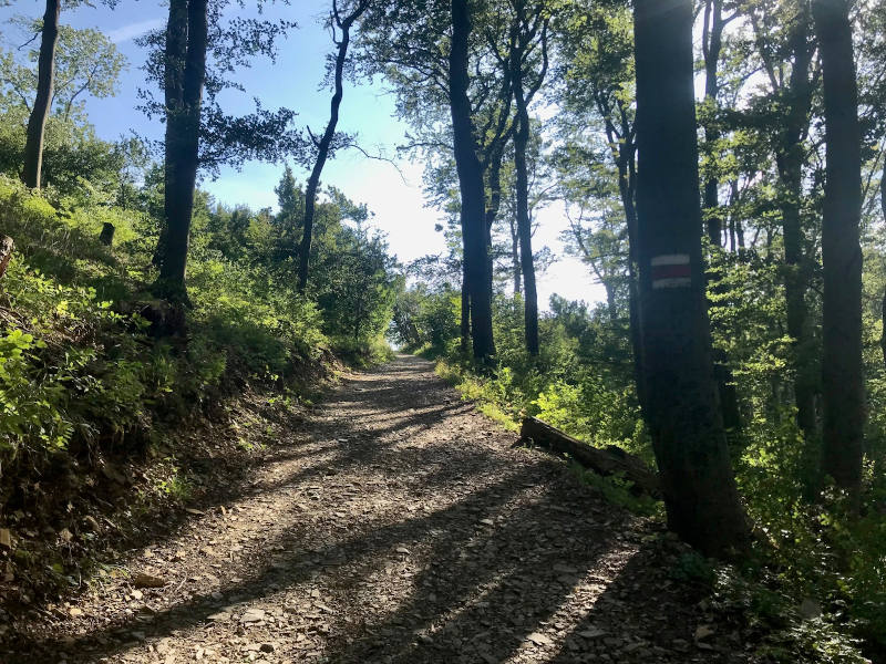 Weg durch den Wald, Lichtung, Sonnenschein blitzt durch die Bäume