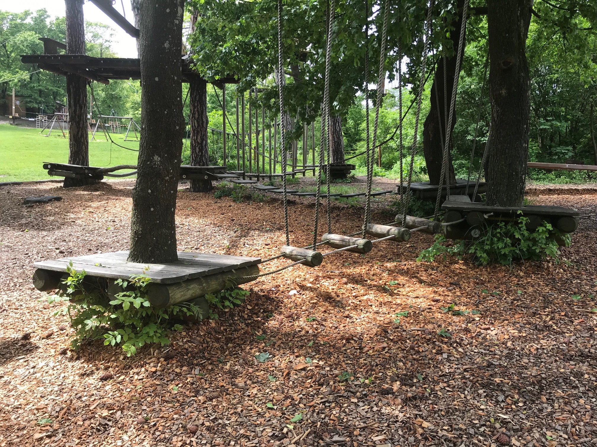 Holzparkour einen halben Meter über dem Boden zwischen Bäumen.