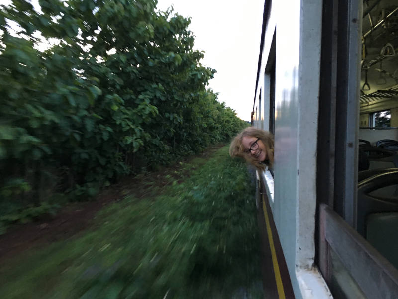 Kind schaut aus dem Zug raus