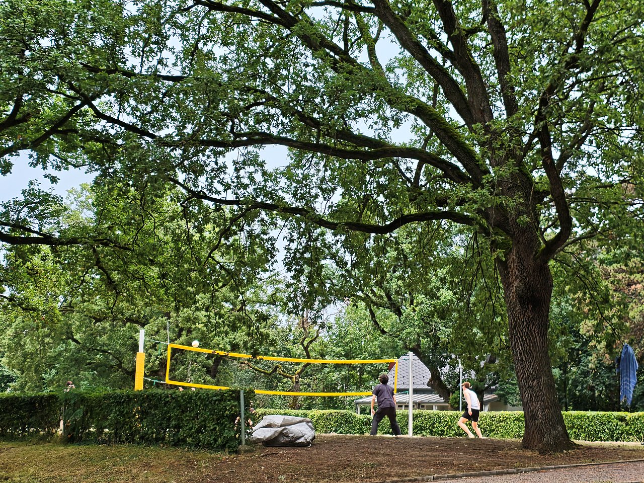 Der Beachvolleyballplatz im Föhrenwäldchen.