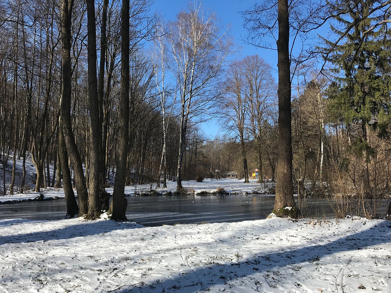 Winter im Schwarzenbergpark