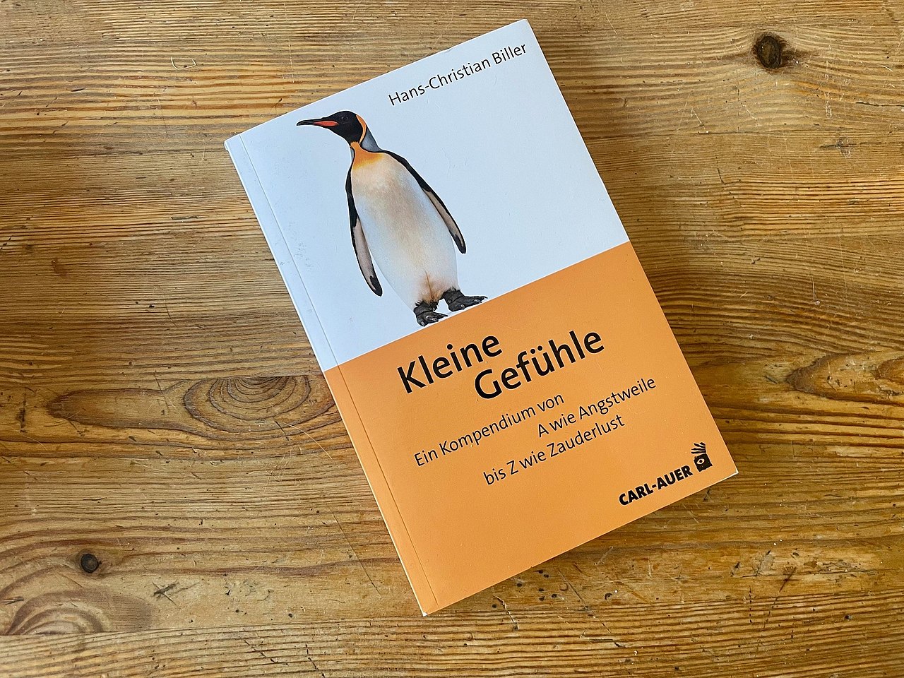 Das kleine Büchlein "Kleine Gefühle", zur Hälfte oben weiß mit einem Pinguin, unten Orange mit dem Titel und Untertitel