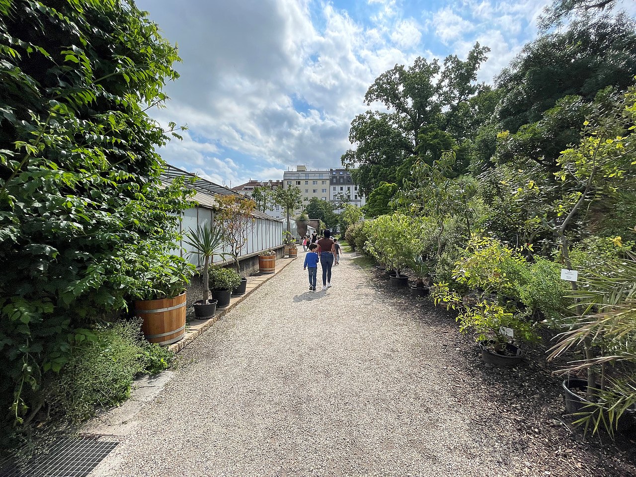 Weg im Botanischen Garten