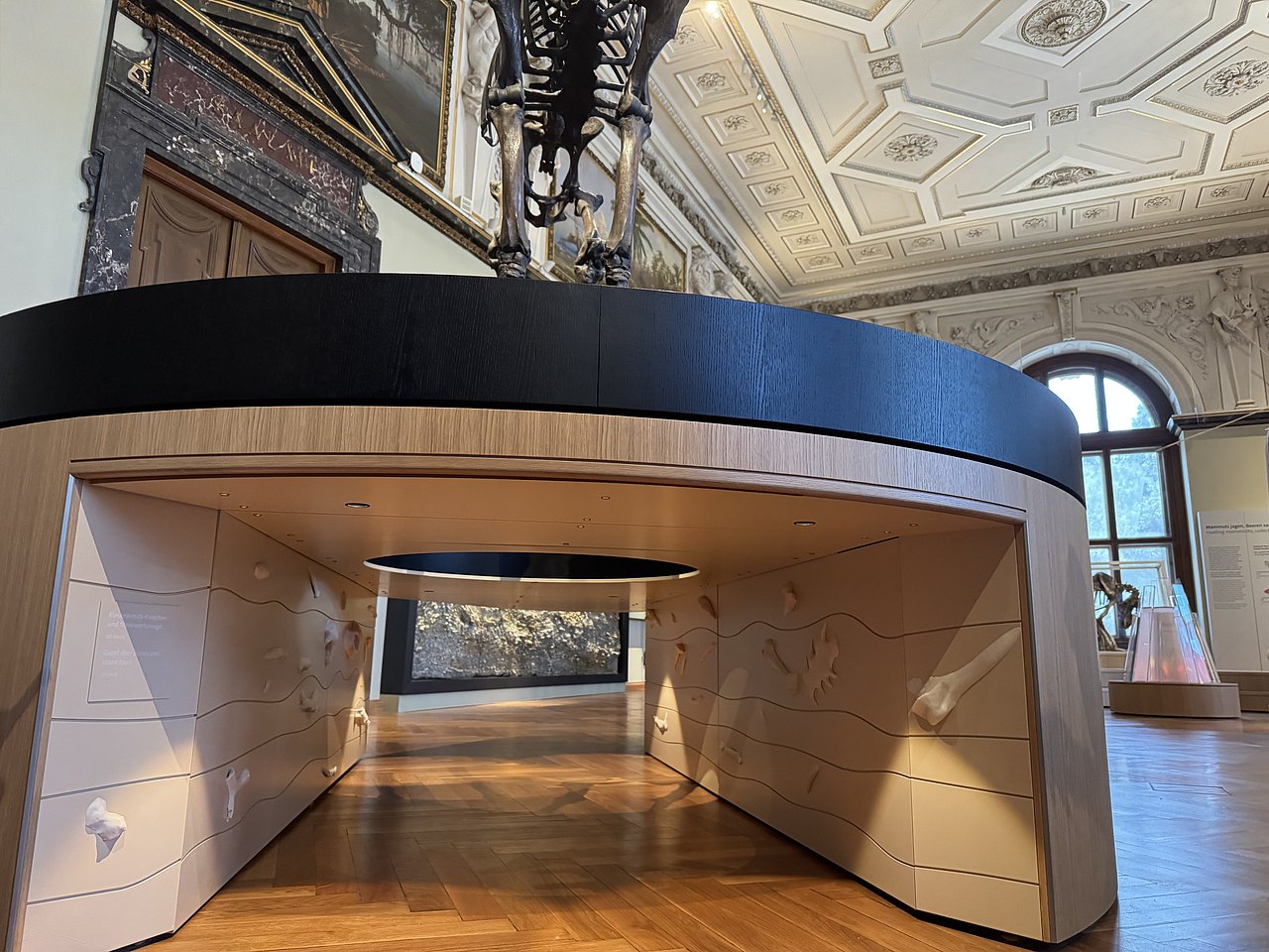 Foto von Unter dem Riesenhirsch-Skelett 