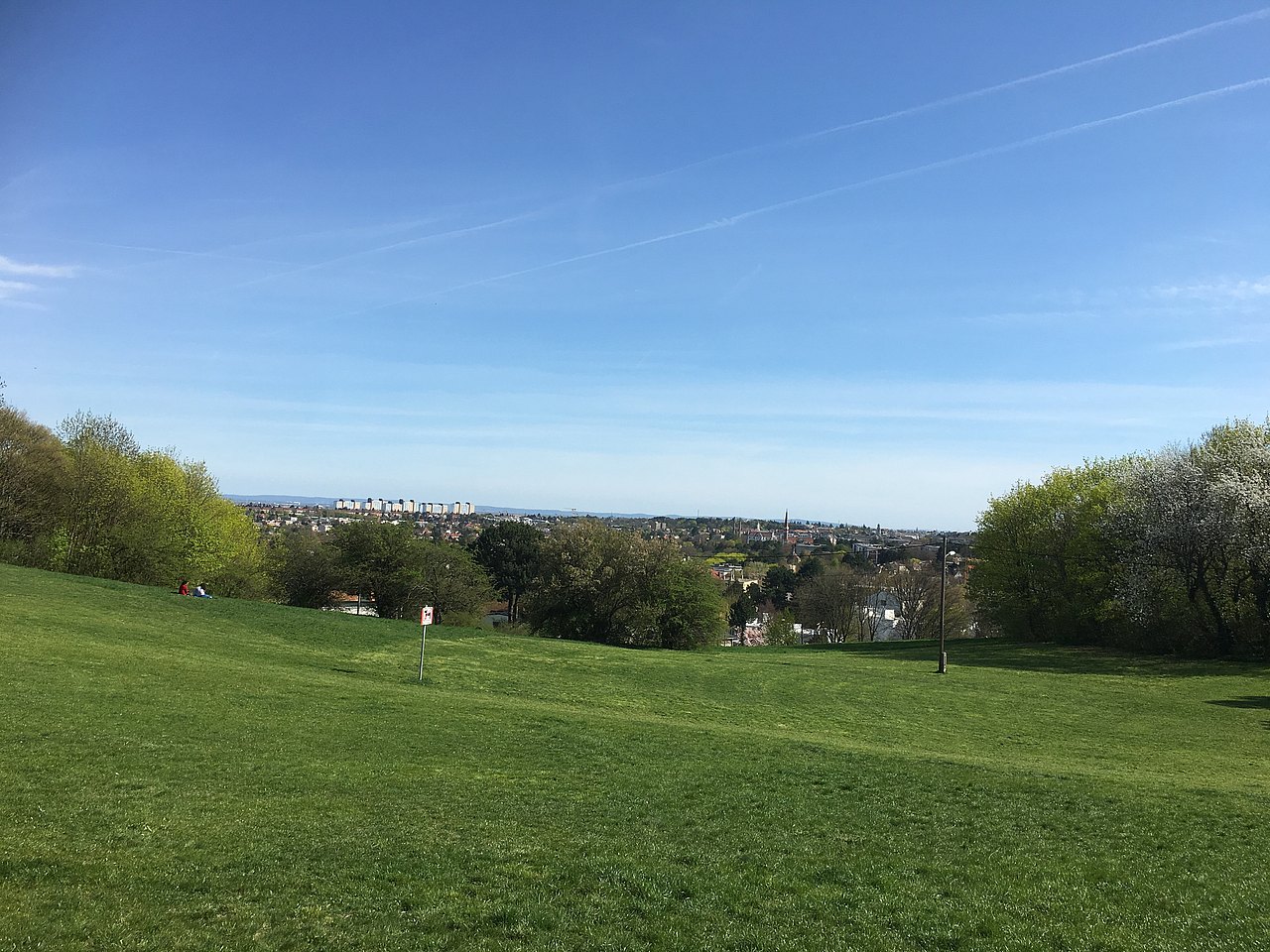 Blick von Wiese auf Wien