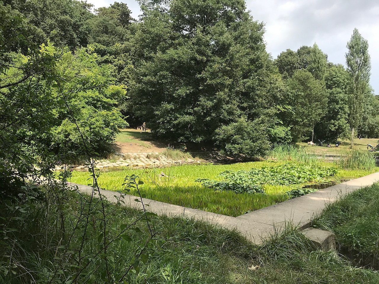 Pappelteich Park, in der Mitte befindet sich ein Pappelteich.