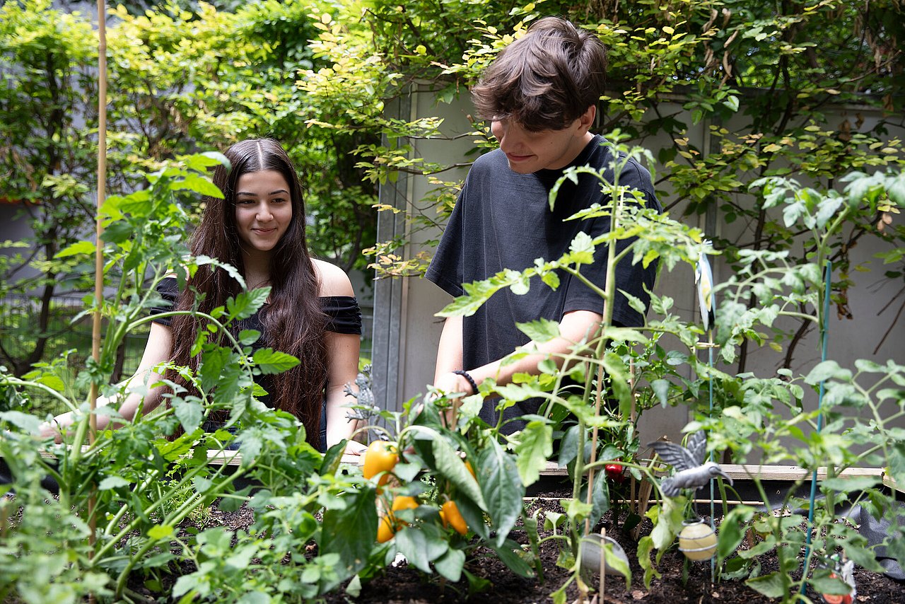 Wiener Ehrenamtswoche 2024 Jugendliche bepflanzen ein Hochbeet