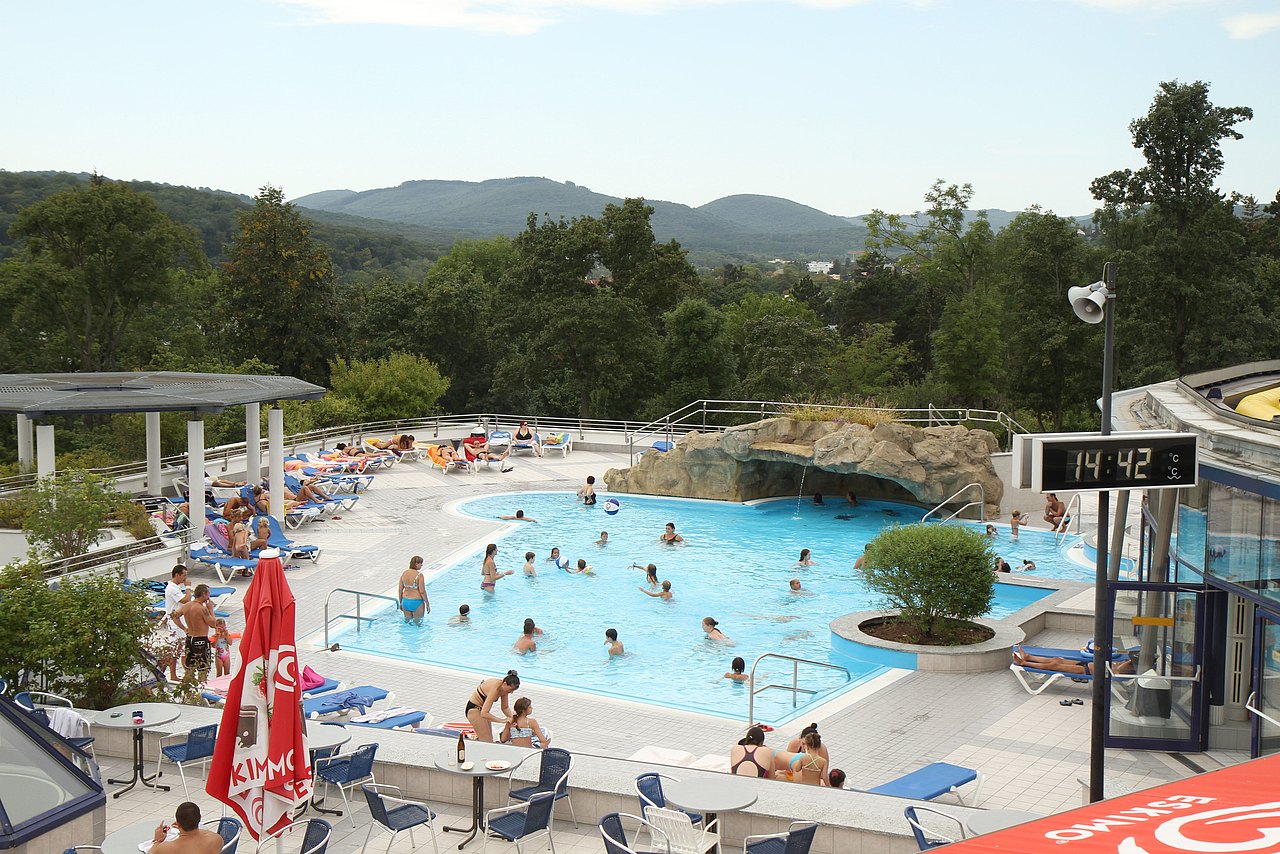 Freibadbecken von oben mit Blick in den Wald