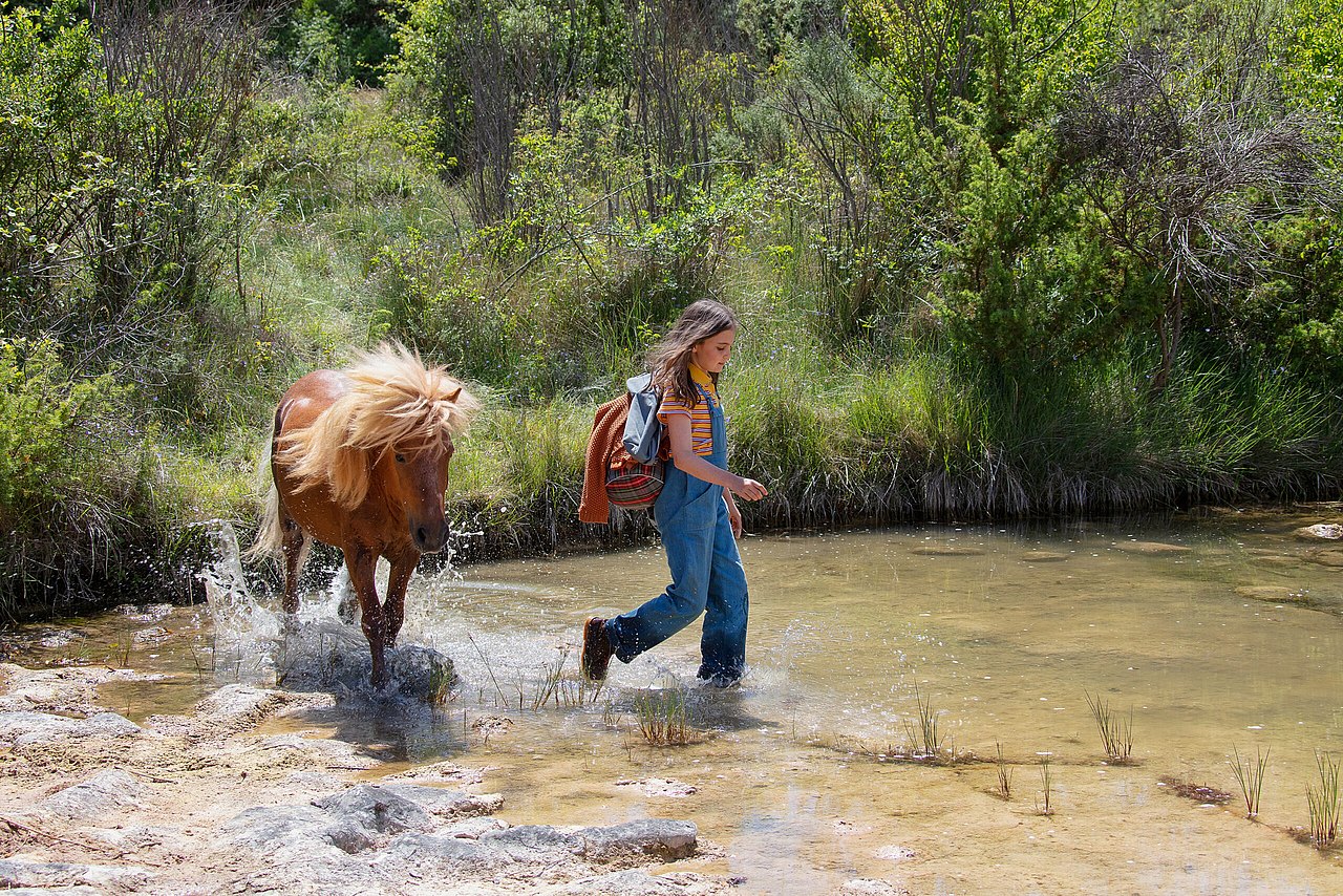 Filmbild von Mein Freund Poly