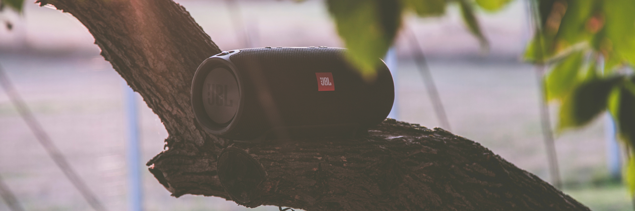 Musikbox steht auf einem Ast eines Baums