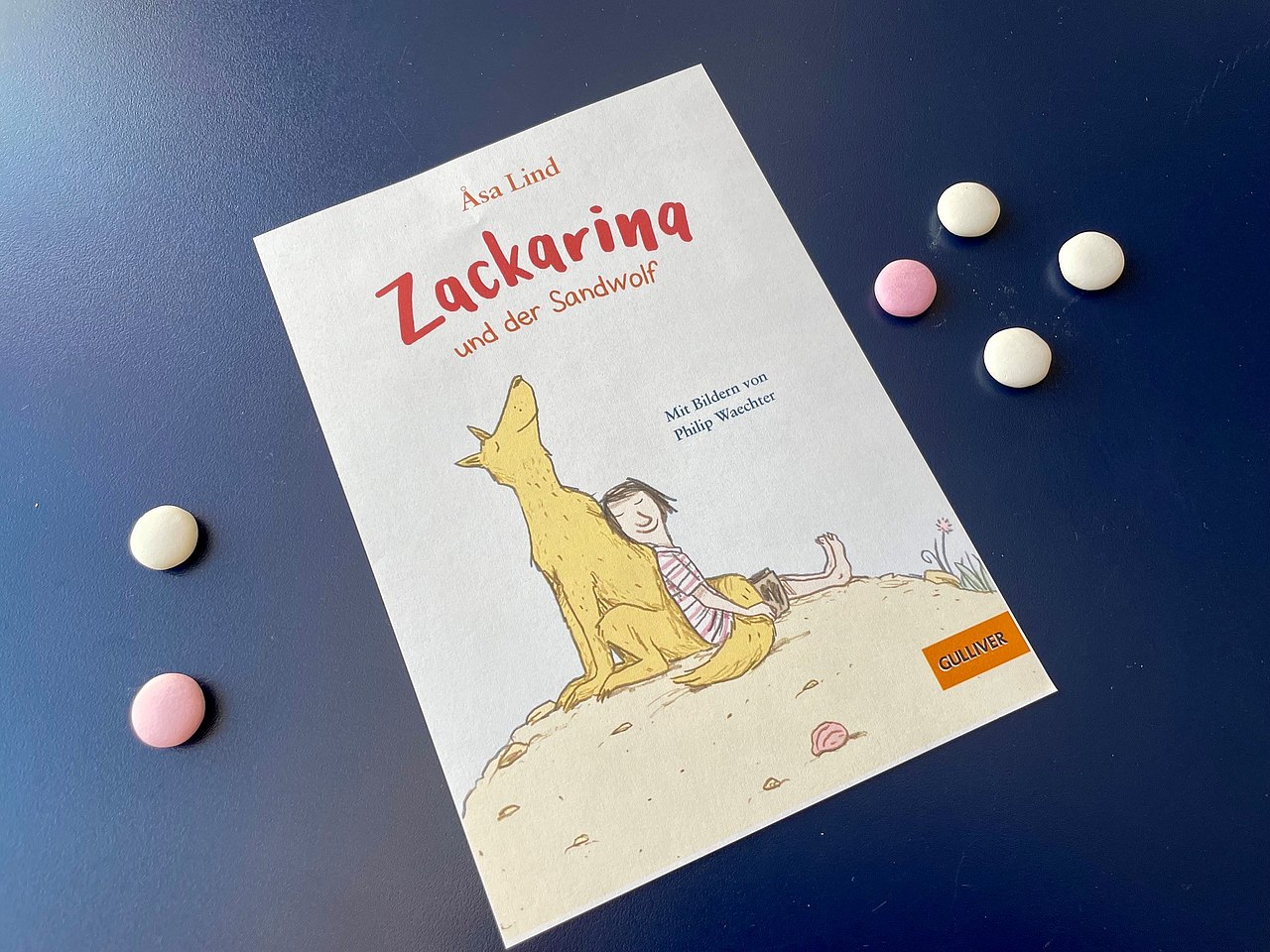 Zackarina und der Sandwolf Kinderbuchvover
