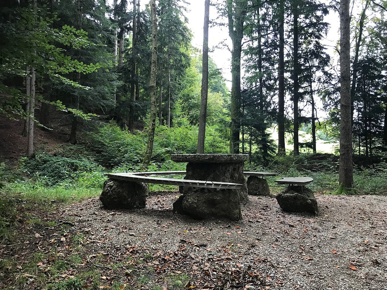 Bänke im Wald
