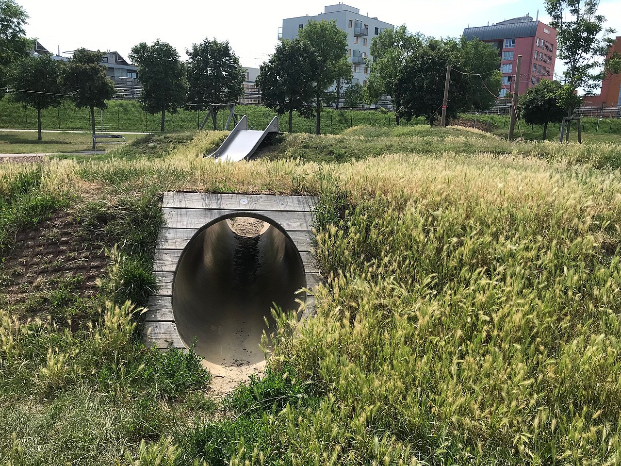 ein Tunnel in einem grasbewachsenen Hügel im Hintergrund sieht man eine breite Hangrutsche