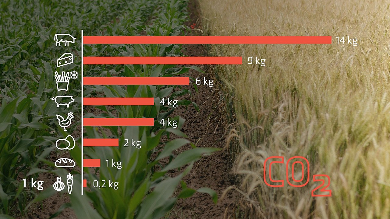 Filmfoto von Anders Essen