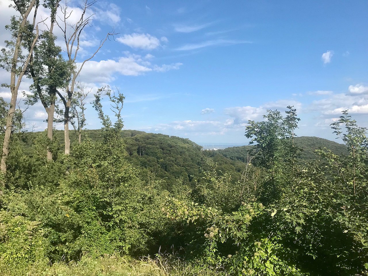 Ausblick auf Wien in die Ferne