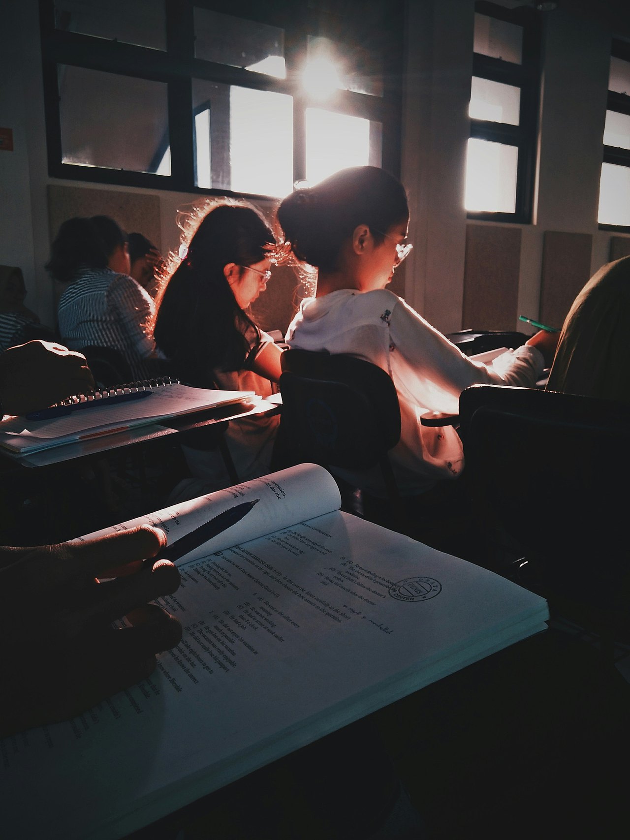 Junge Menschen von hinten beim Lernen in einem Klassenzimmer