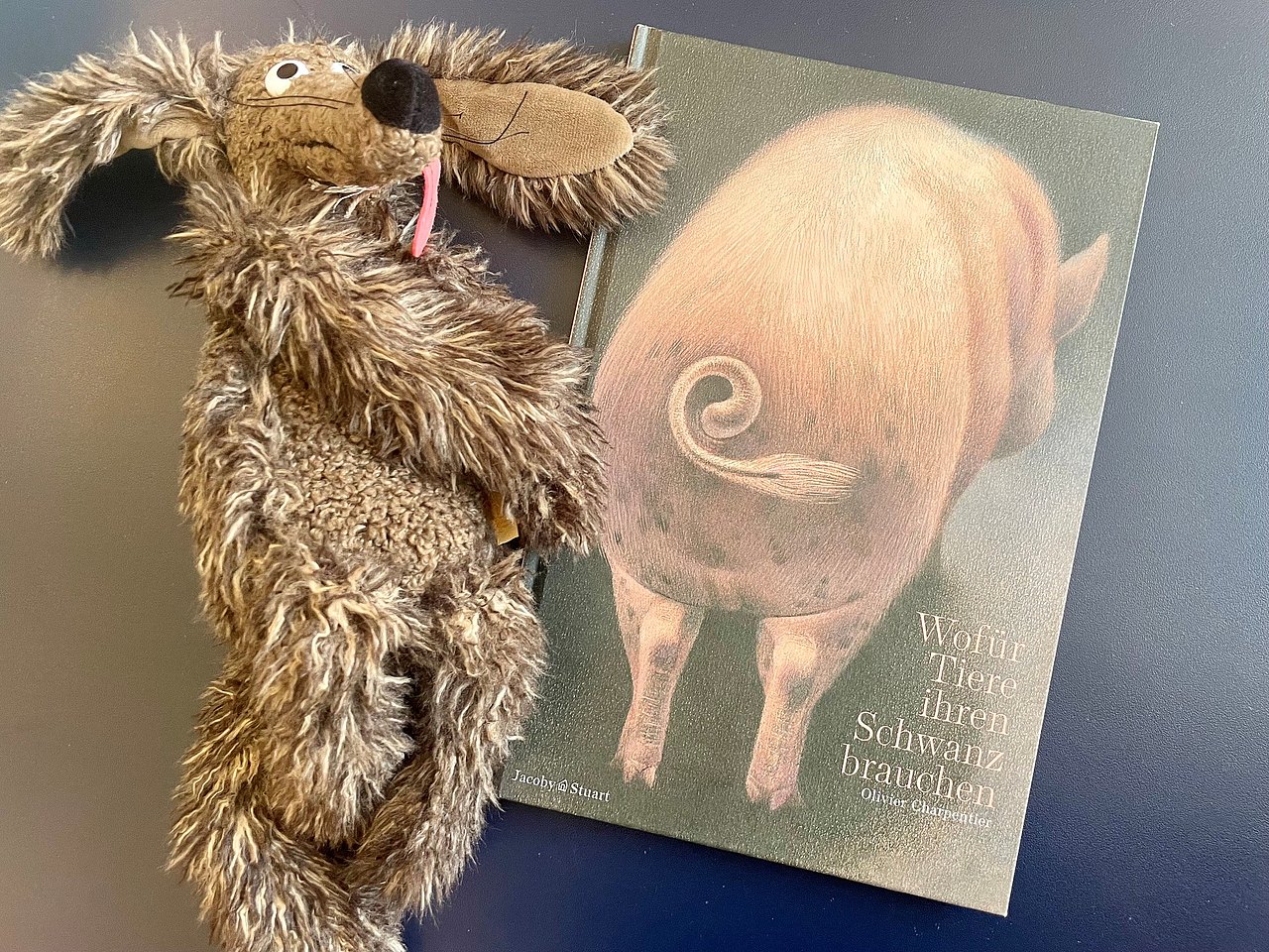Wofür Tiere ihren Schwanz brauchen Kinderbuch mit einem Pläschhund