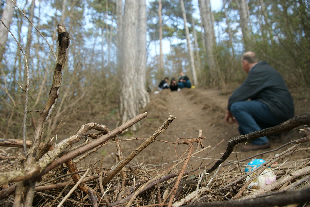 Im Vordergrund sind Äste zu einer Wand aufgestapelt, in denen zwei kaputte gefärbte Eier liegen. Dahinter führt ein Erdhügel im Wald hoch. Eine Person hockt unten und sieht hinauf, ganz oben sind drei Personen, die hinunter sehen.